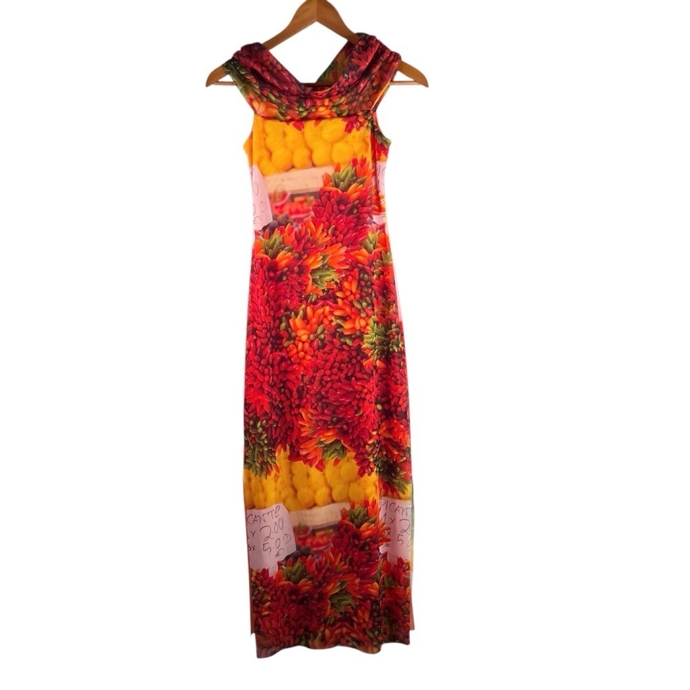 New Zara Picante Fruit All Over Print Mesh Maxi Dress Size Small